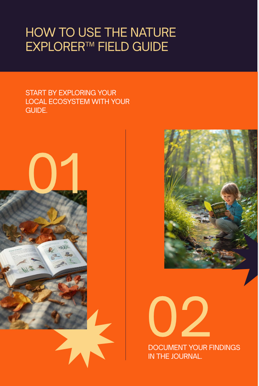 Nature Explorer™ Field Guide — Portfolio-Driven Outdoor Science & Discovery Journal (Ages 5-18)